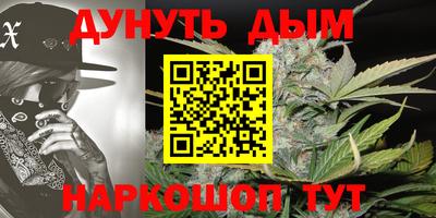 Альфа ПВП Новозыбков